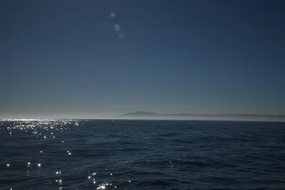 DSC_6666 (Large).JPG